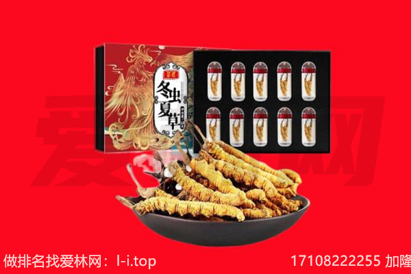 伊春回收虫草.jpg